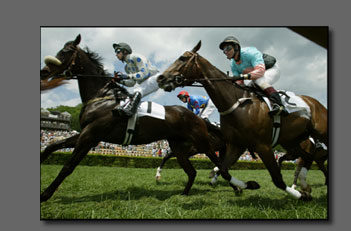 Steeplechase horse